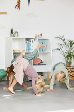 Aktivitatsringe Nordic