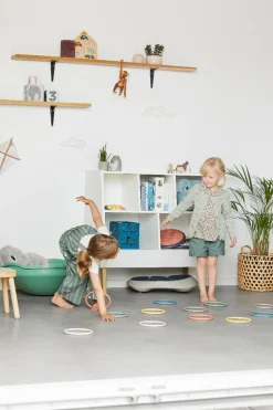 Aktivitatsringe Nordic