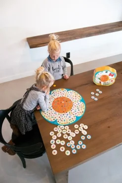 Aufmerksamkeitsspiel - Insekten