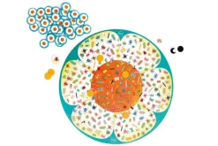 Aufmerksamkeitsspiel - Insekten