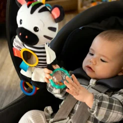 Baby Einstein - Aktivtats-Zebra
