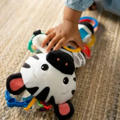 Baby Einstein - Aktivtats-Zebra