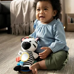 Baby Einstein - Aktivtats-Zebra