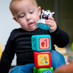 Baby Einstein - Magnetspielzeug Add & Stack