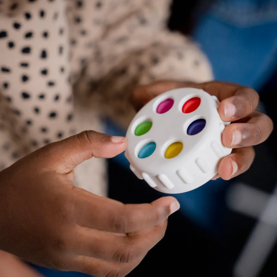 Baby Einstein - Magnetspielzeug Click & Create