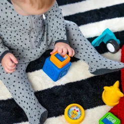 Baby Einstein - Magnetspielzeug Dive & Soar