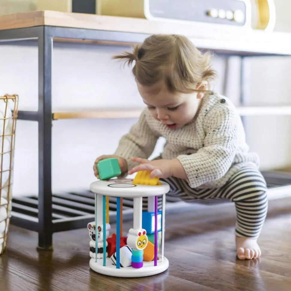 Baby Einstein - Steckspiel Sortierbox