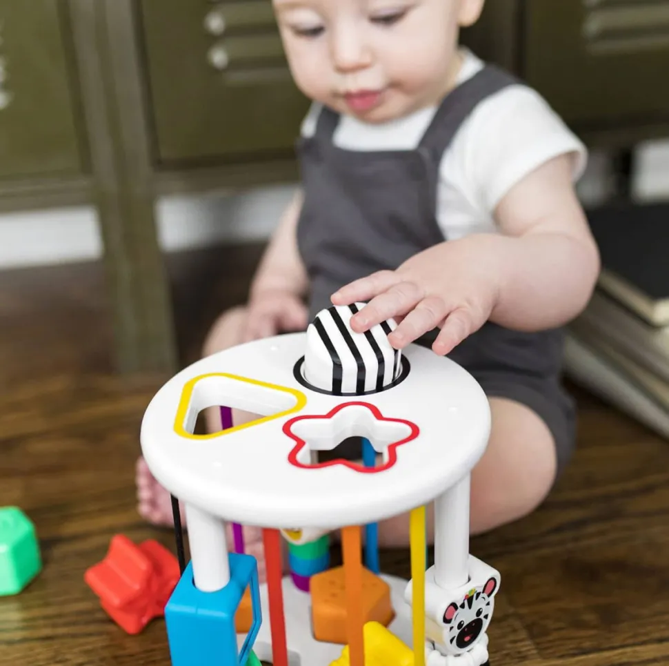 Baby Einstein - Steckspiel Sortierbox