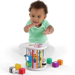 Baby Einstein - Steckspiel Sortierbox
