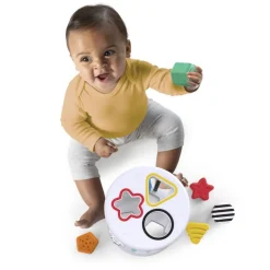 Baby Einstein - Steckspiel Sortierbox
