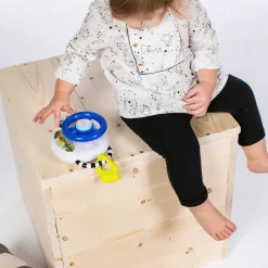 Baby Einstein Lenkrad Mit Ton