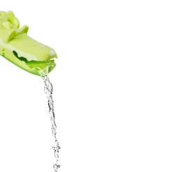 Badespas - Krokodil Anatole