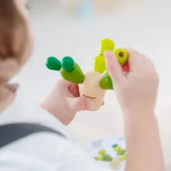 Balancierkaktus Mini