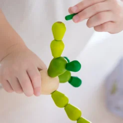 Balancierkaktus Mini