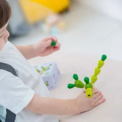 Balancierkaktus Mini