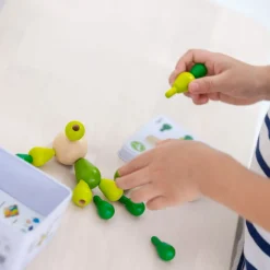 Balancierkaktus Mini