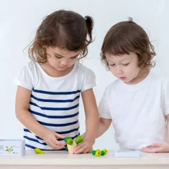 Balancierkaktus Mini