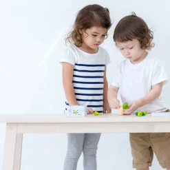 Balancierkaktus Mini