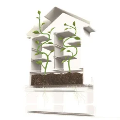 Bau Ein Pflanzenlabyrinth - Botanik-Set Für Kinder