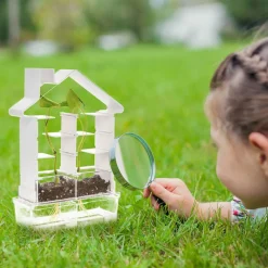 Bau Ein Pflanzenlabyrinth - Botanik-Set Für Kinder