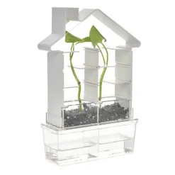 Bau Ein Pflanzenlabyrinth - Botanik-Set Für Kinder