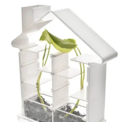 Bau Ein Pflanzenlabyrinth - Botanik-Set Für Kinder