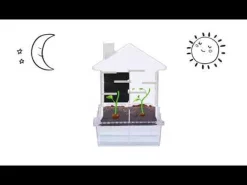 Bau Ein Pflanzenlabyrinth - Botanik-Set Für Kinder