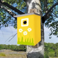 Bauen & Malen - Vogelhauschen