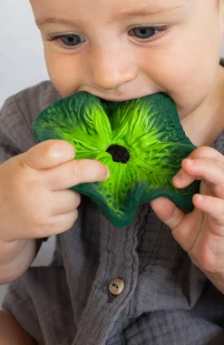 Beißspielzeug & Schmusetuch "Kohl Kendall"