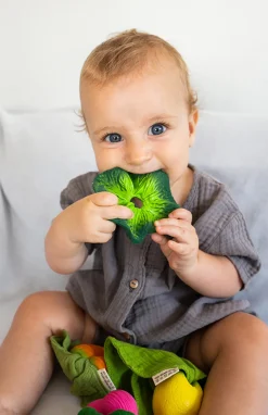 Beißspielzeug & Schmusetuch 