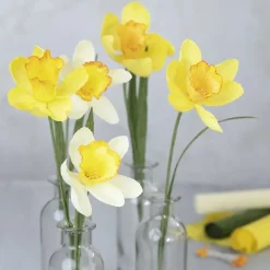 Crepepapier - Pastel, 8 Rollen