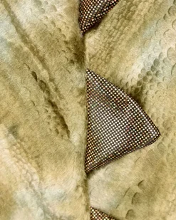 Dinosaurier - 3-8 Jahre