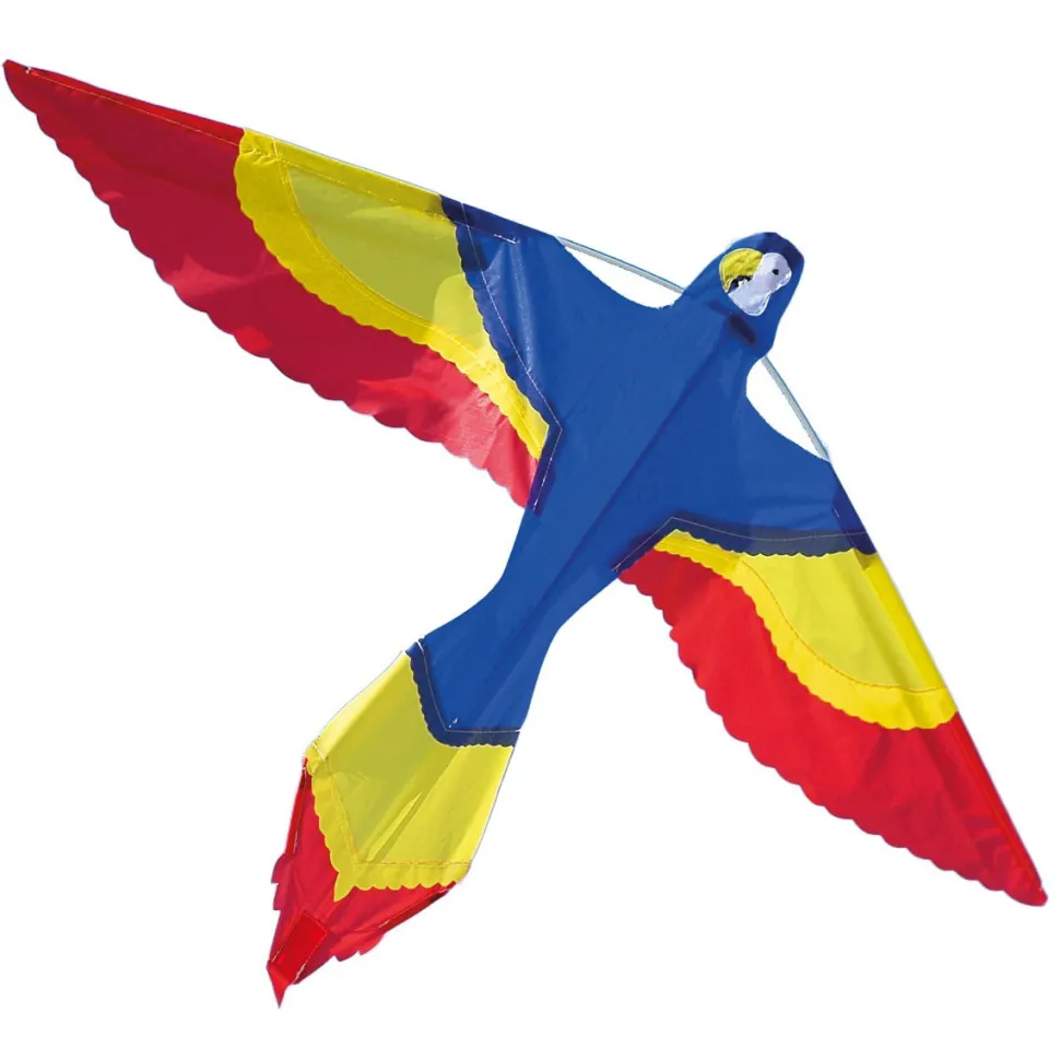 Drachen - Bunter Papagei