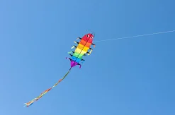 Drachen Raupe - 48 X 115 Cm