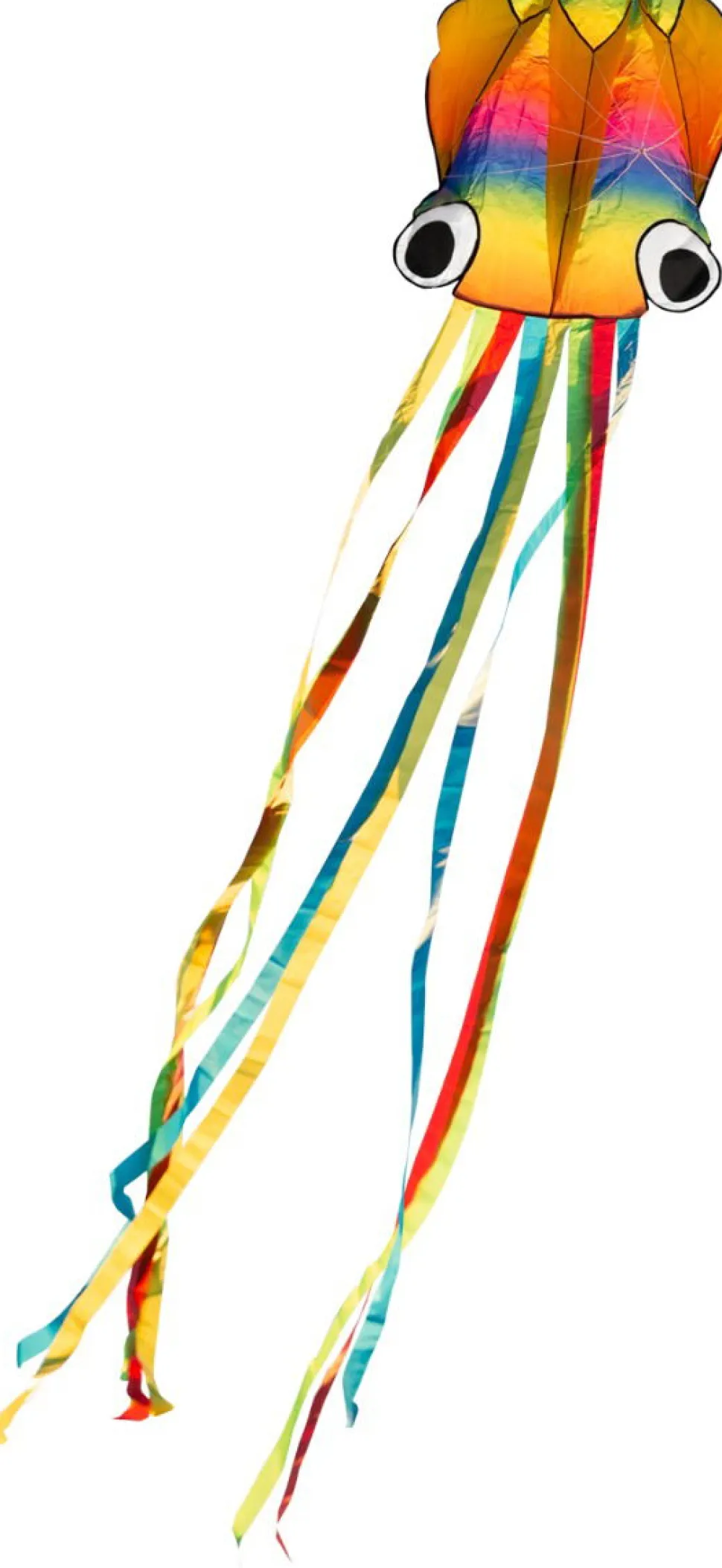 Drachen Tintenfisch - 70 X 410 Cm