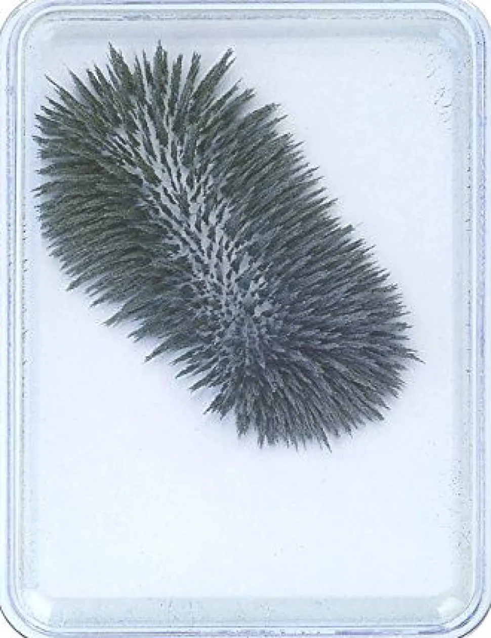 Eisenpulver Im Kastchen