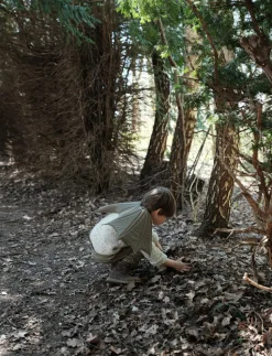 Fledermausflugel/Drache