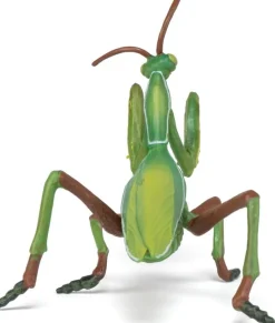 Gottesanbeterin (L: 10 Cm)