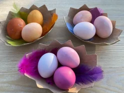 Halbe Eierschalen Aus Karton, 4 Stk