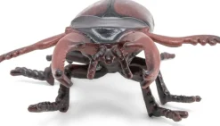 Hirschkafer (L: 7 Cm)