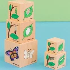 Holzklötze - Lebenszykus Der Tiere