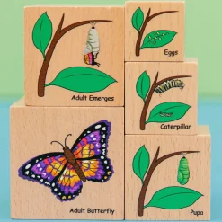 Holzklötze - Lebenszykus Der Tiere