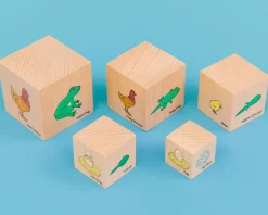 Holzklötze - Lebenszykus Der Tiere