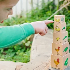 Holzklötze - Lebenszykus Der Tiere