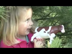 Jumbo Dschungeltiere, 5 Stk.