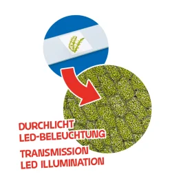 Junior Kindermikroskop M. Led, 40X-640X