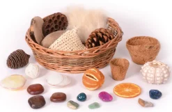 Korb Gefullt Mit Naturmaterialien