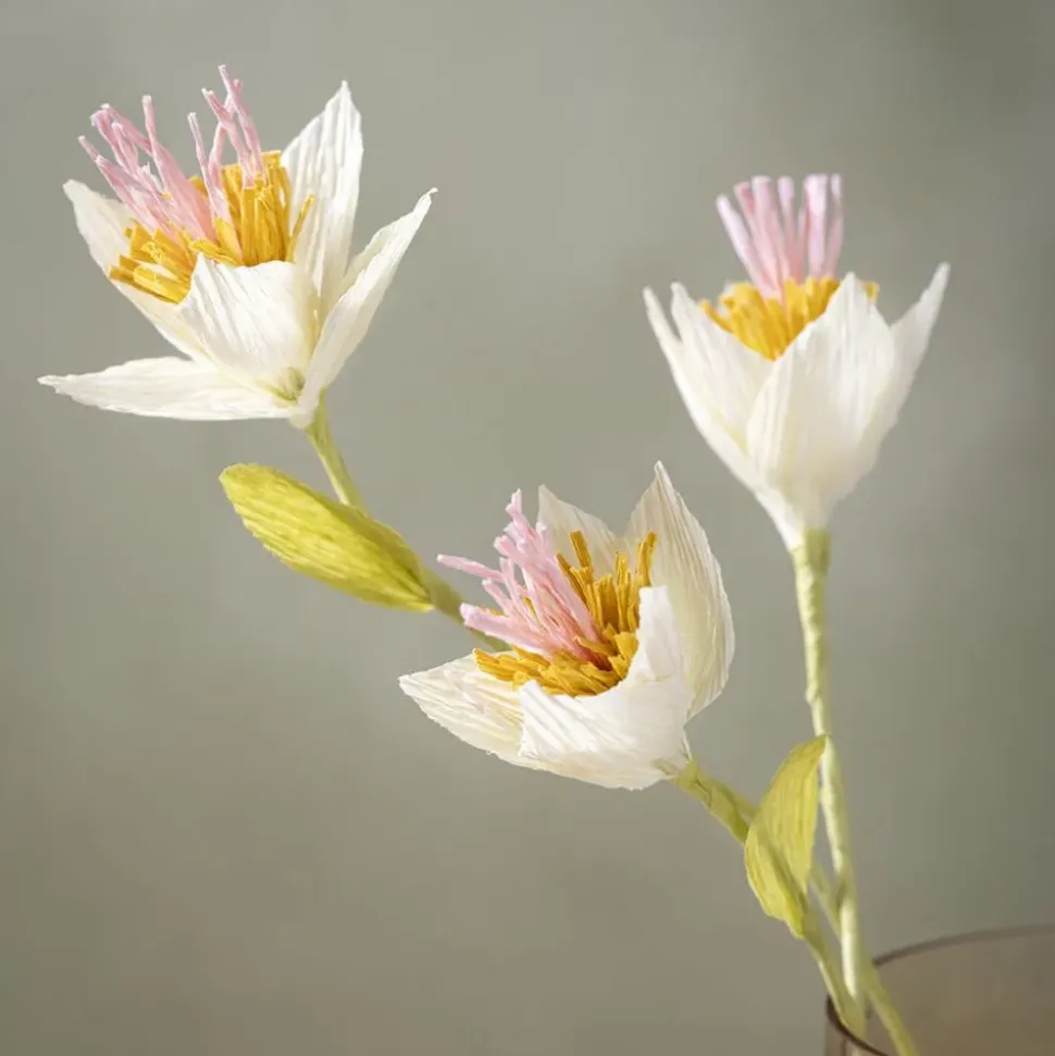 Krepppapier - Zarte Naturfarben, 8 Blatt