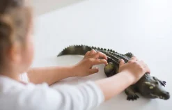 Krokodil Aus Naturgummi