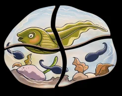 Lagenpuzzle - Frosch